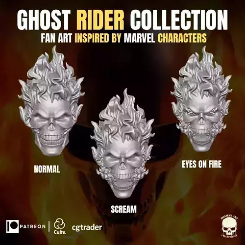 Ghost Rider Head Collection for action figures