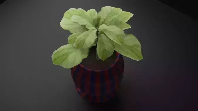 Pot with Plant