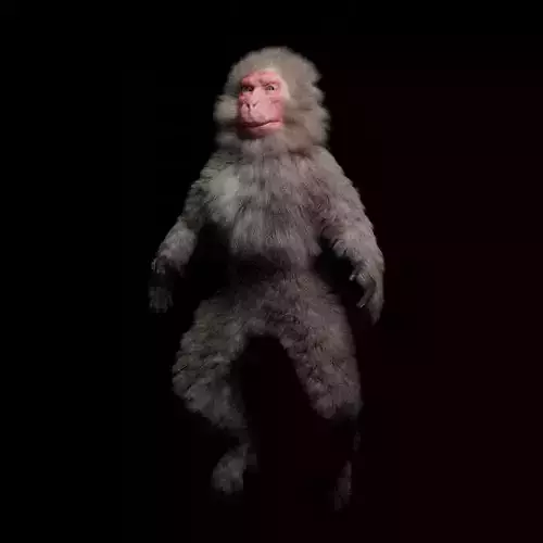 Japanese macaque monkey Free 3D model