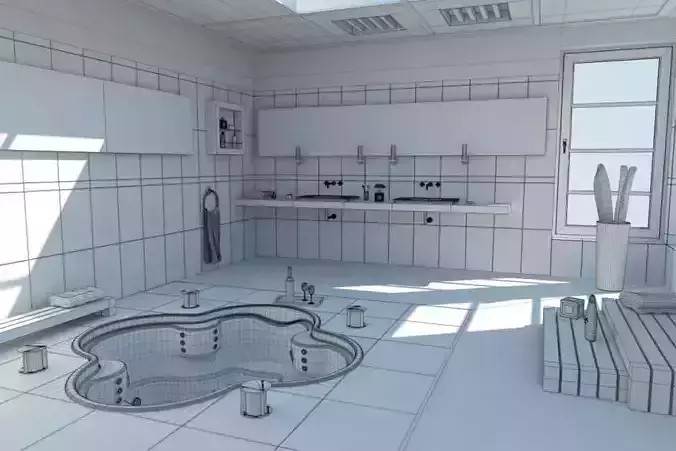 Modern Bath Room With Jacuzzi