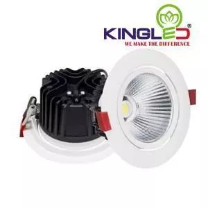 LED LIGHT 12 DLR 16SS T30 VTTTT Free 3D model
