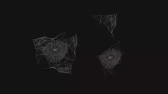 Spider Webs 3D Model Low-poly 3D model