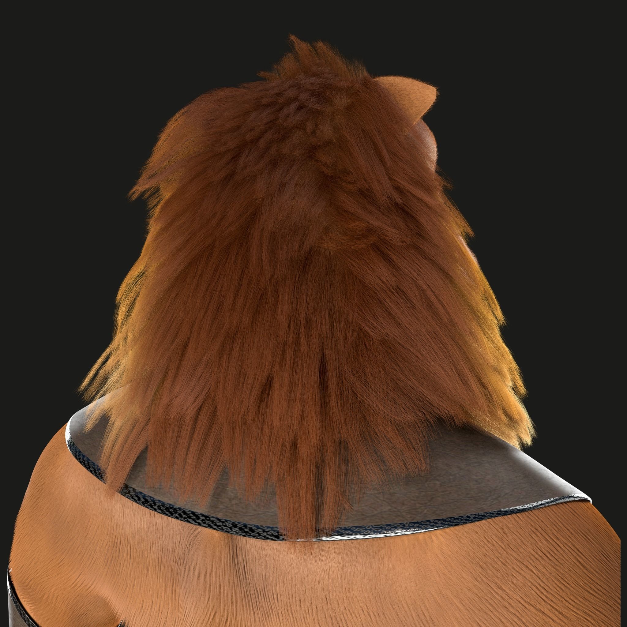 Cartoon Lion Rigged 3D model_17