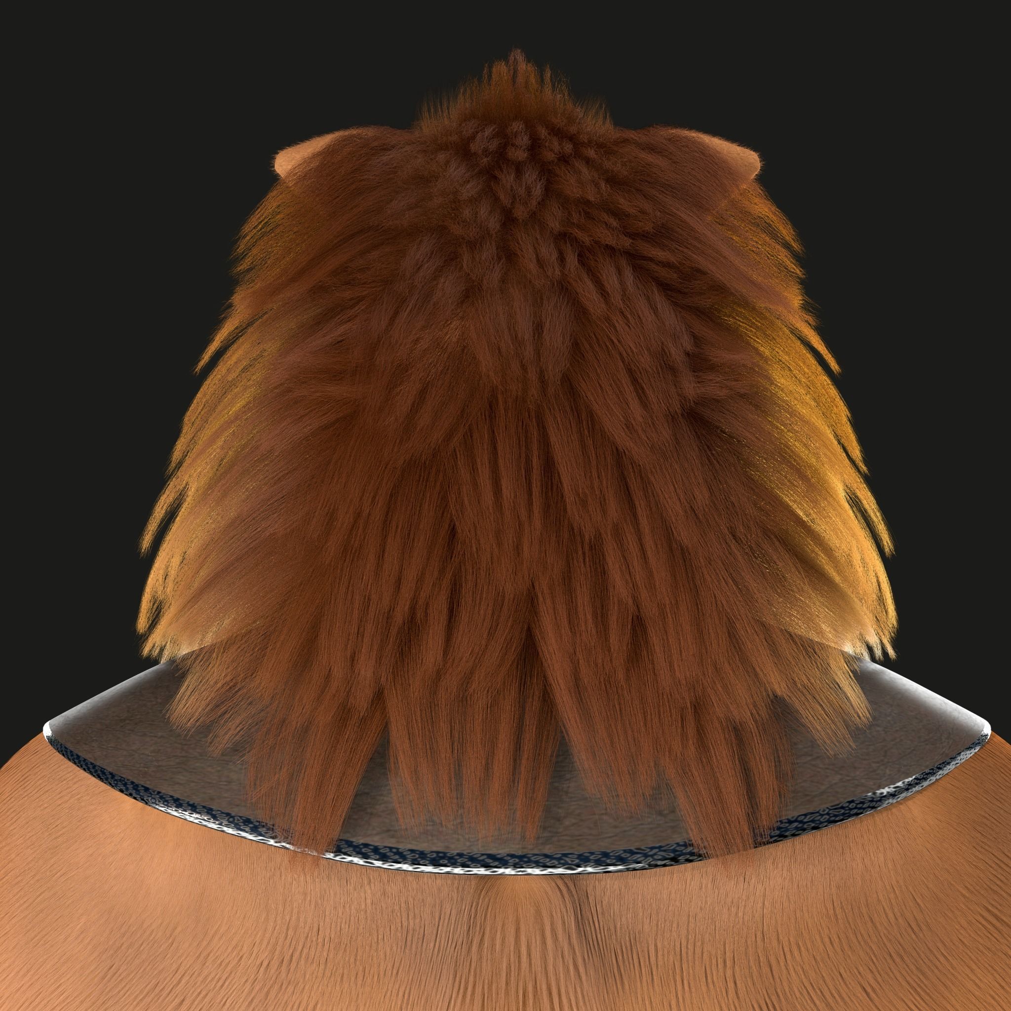 Cartoon Lion Rigged 3D model_18