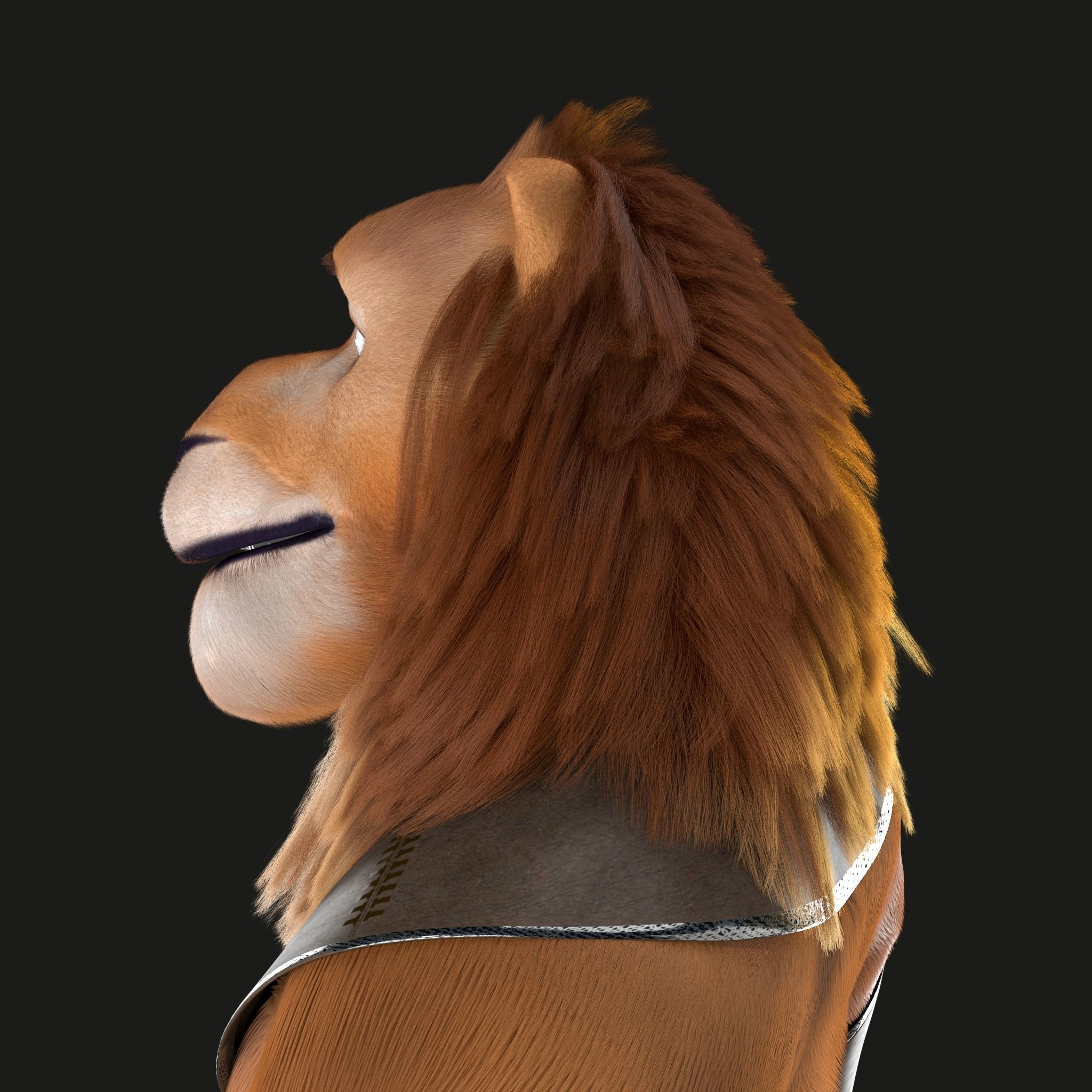 Cartoon Lion Rigged 3D model_19