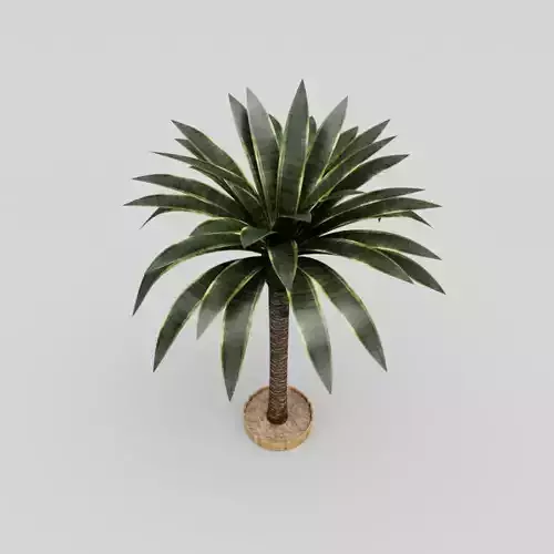 Palm Tree Low-poly 3D model