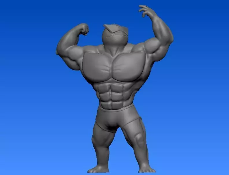 Squirtle Swole Mamado 3D print model_0