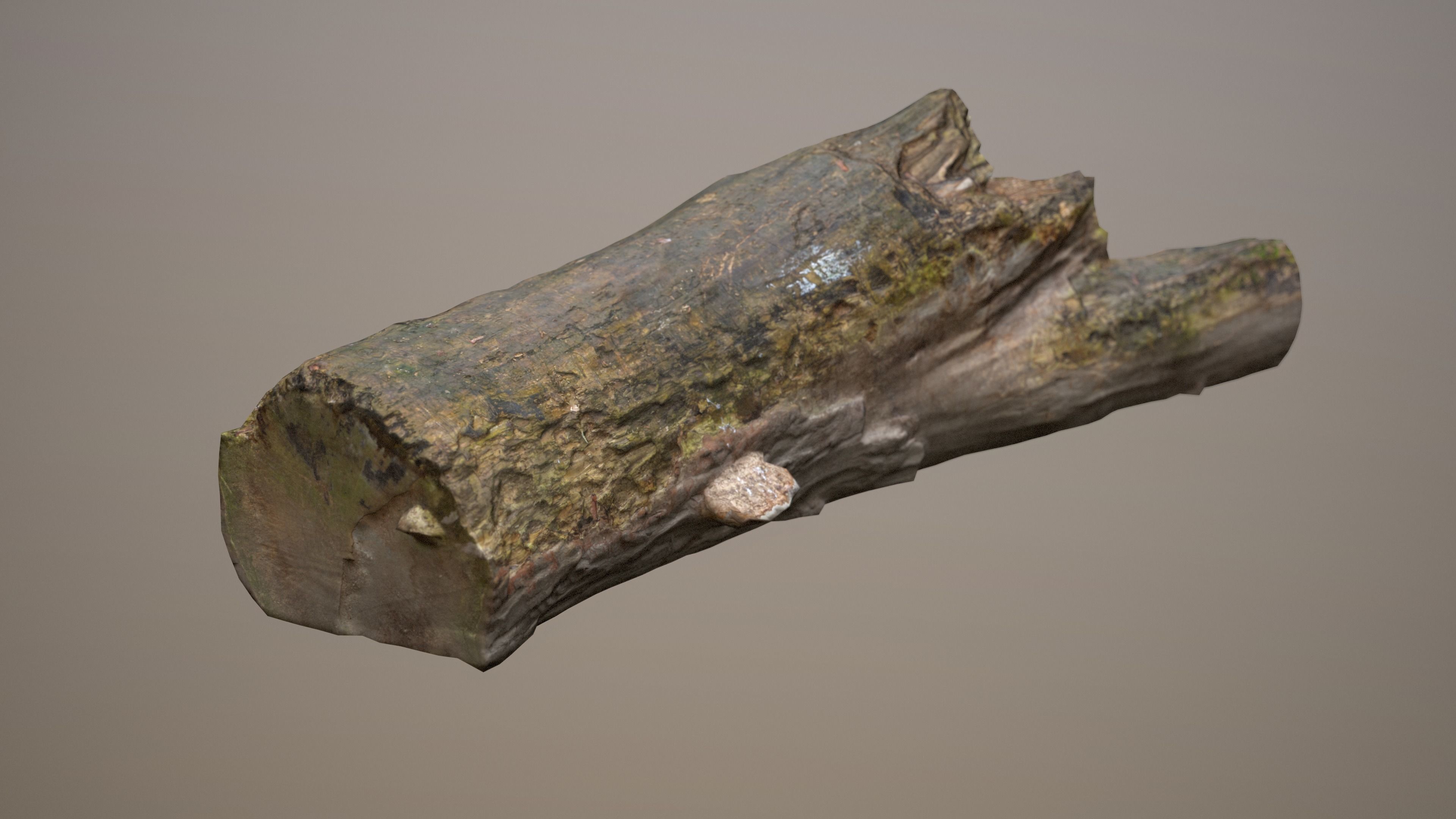 City Park Log Low-poly 3D model_11