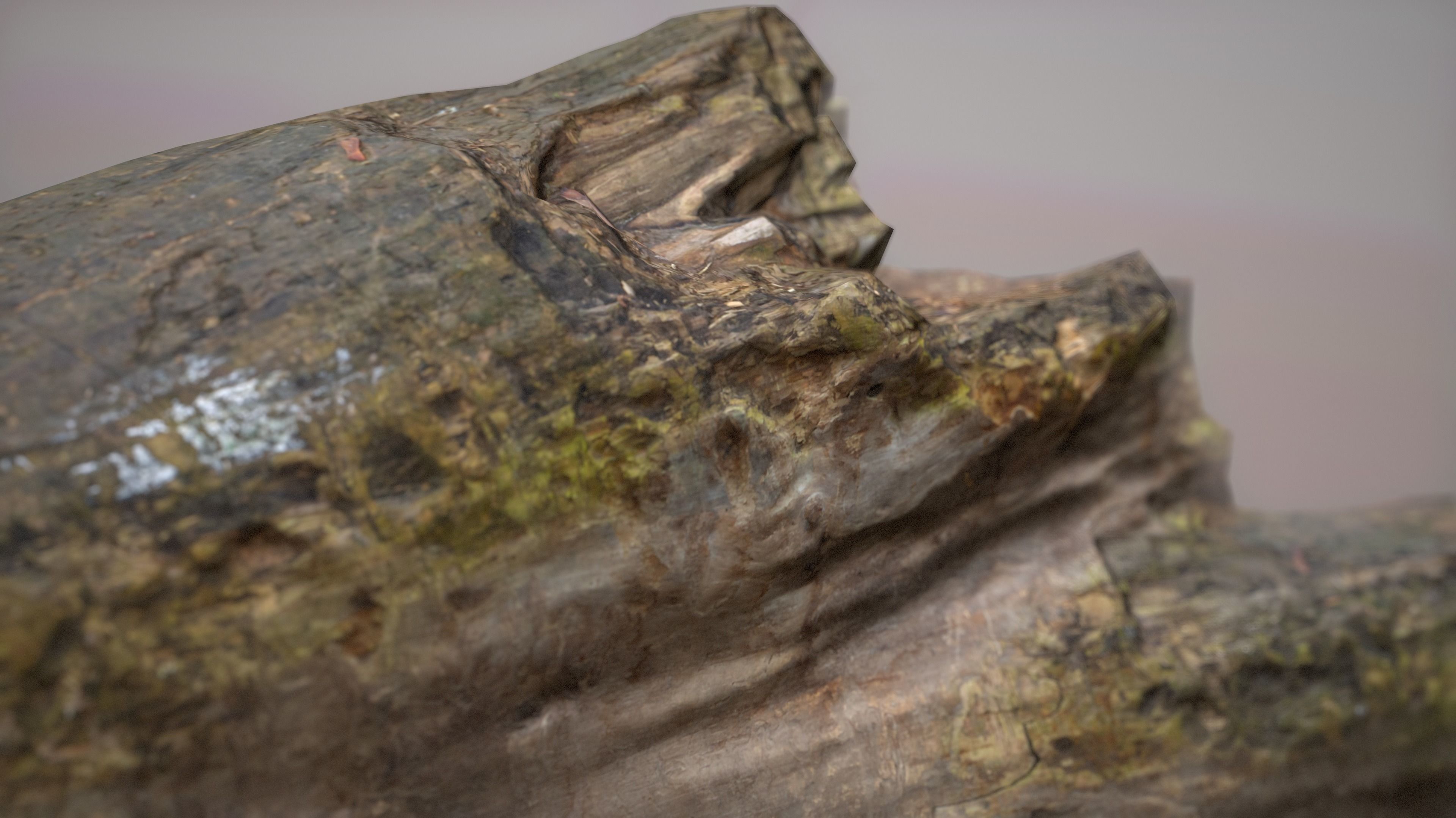 City Park Log Low-poly 3D model_2