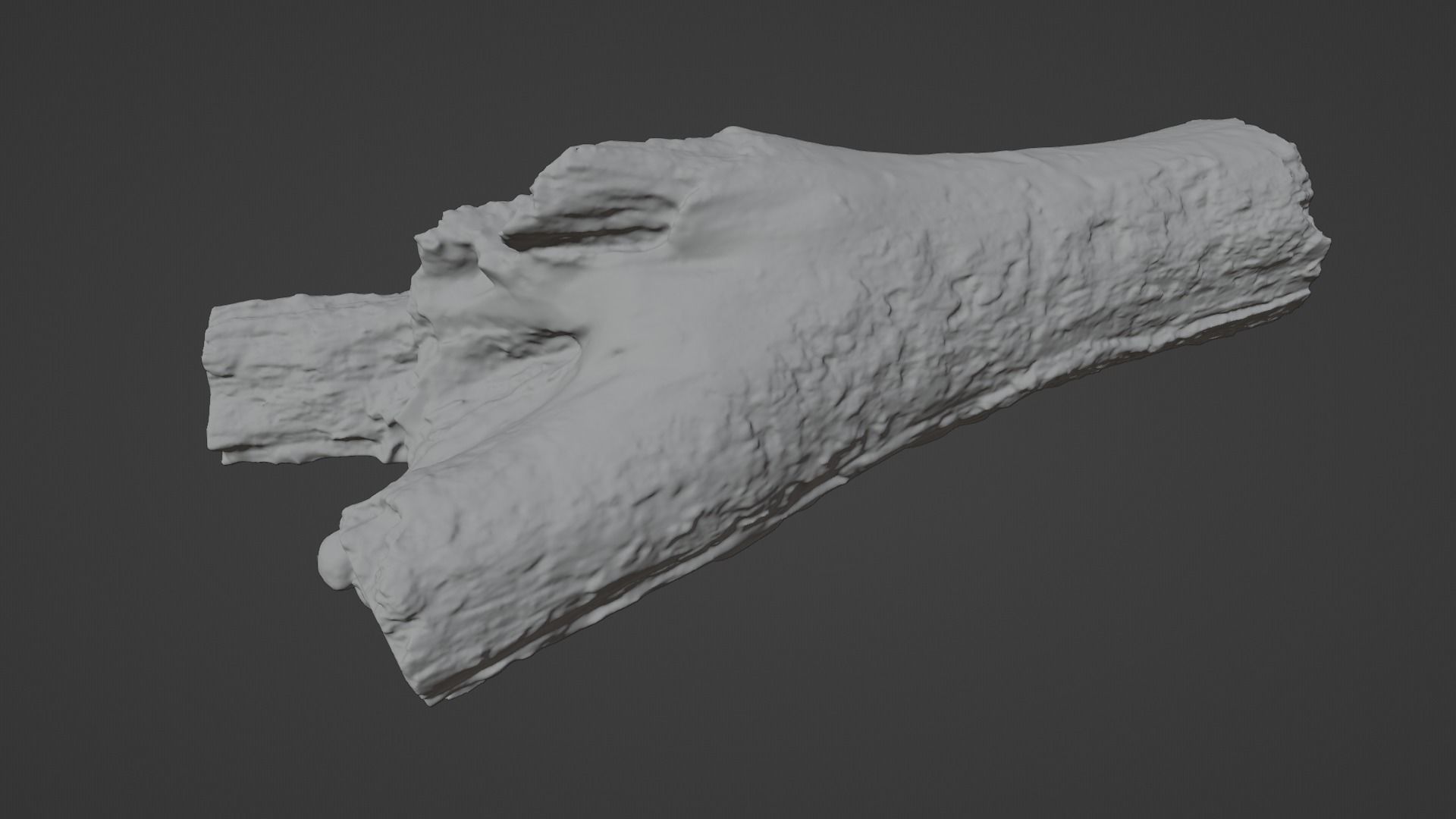 City Park Log Low-poly 3D model_21