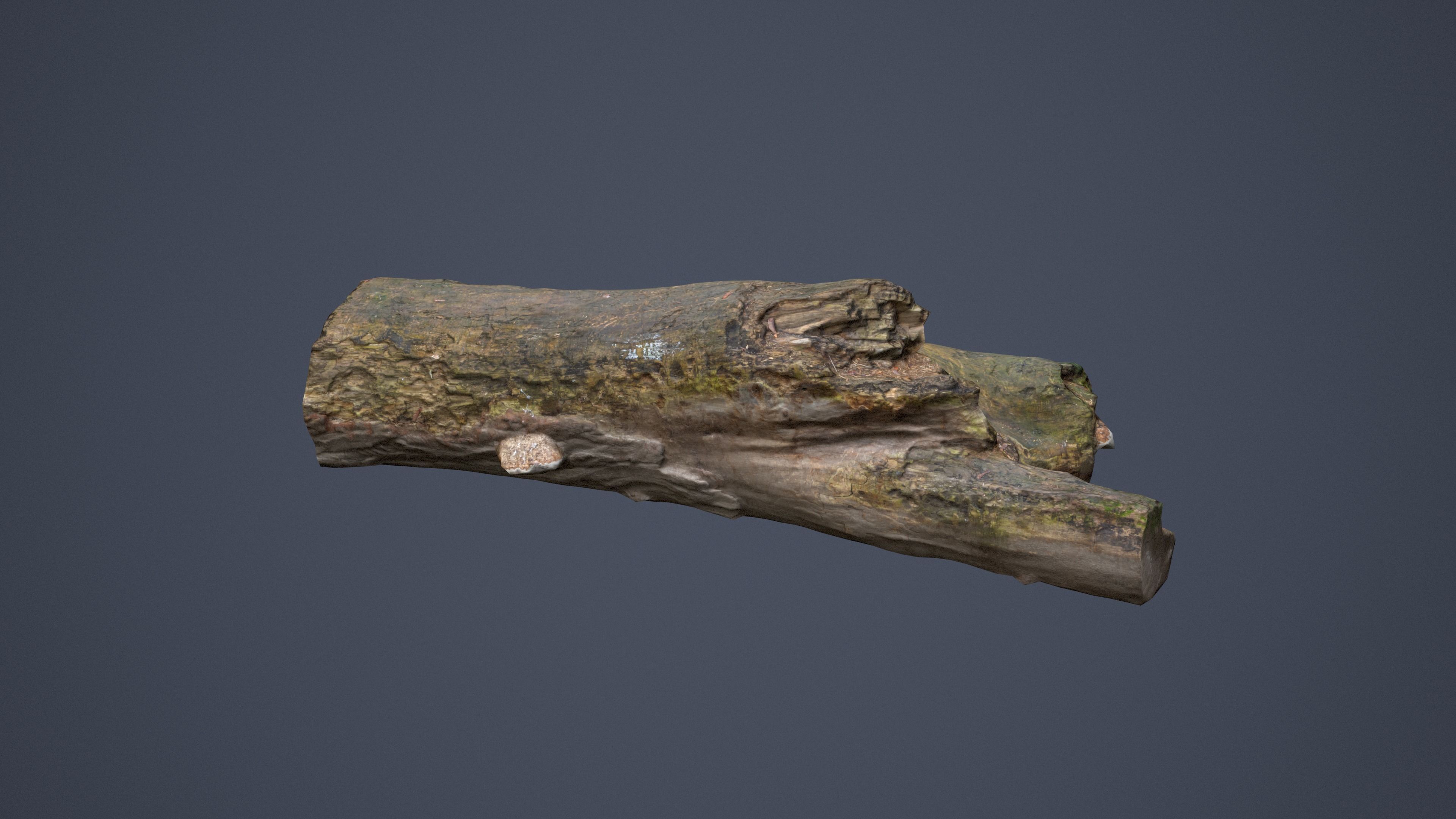 City Park Log Low-poly 3D model_9