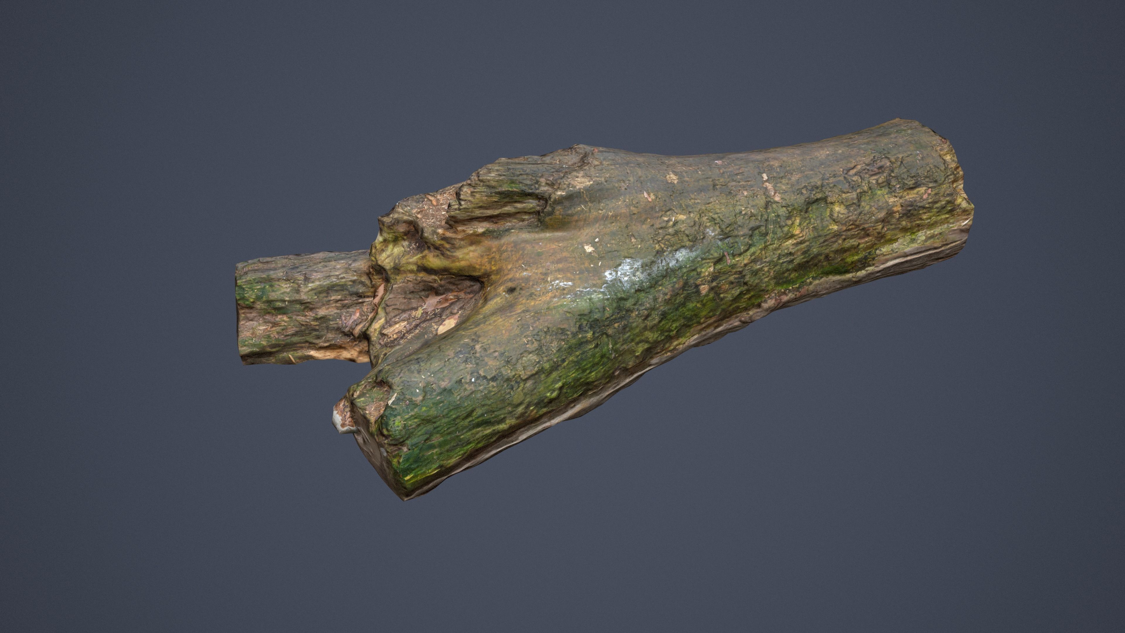 City Park Log Low-poly 3D model_8