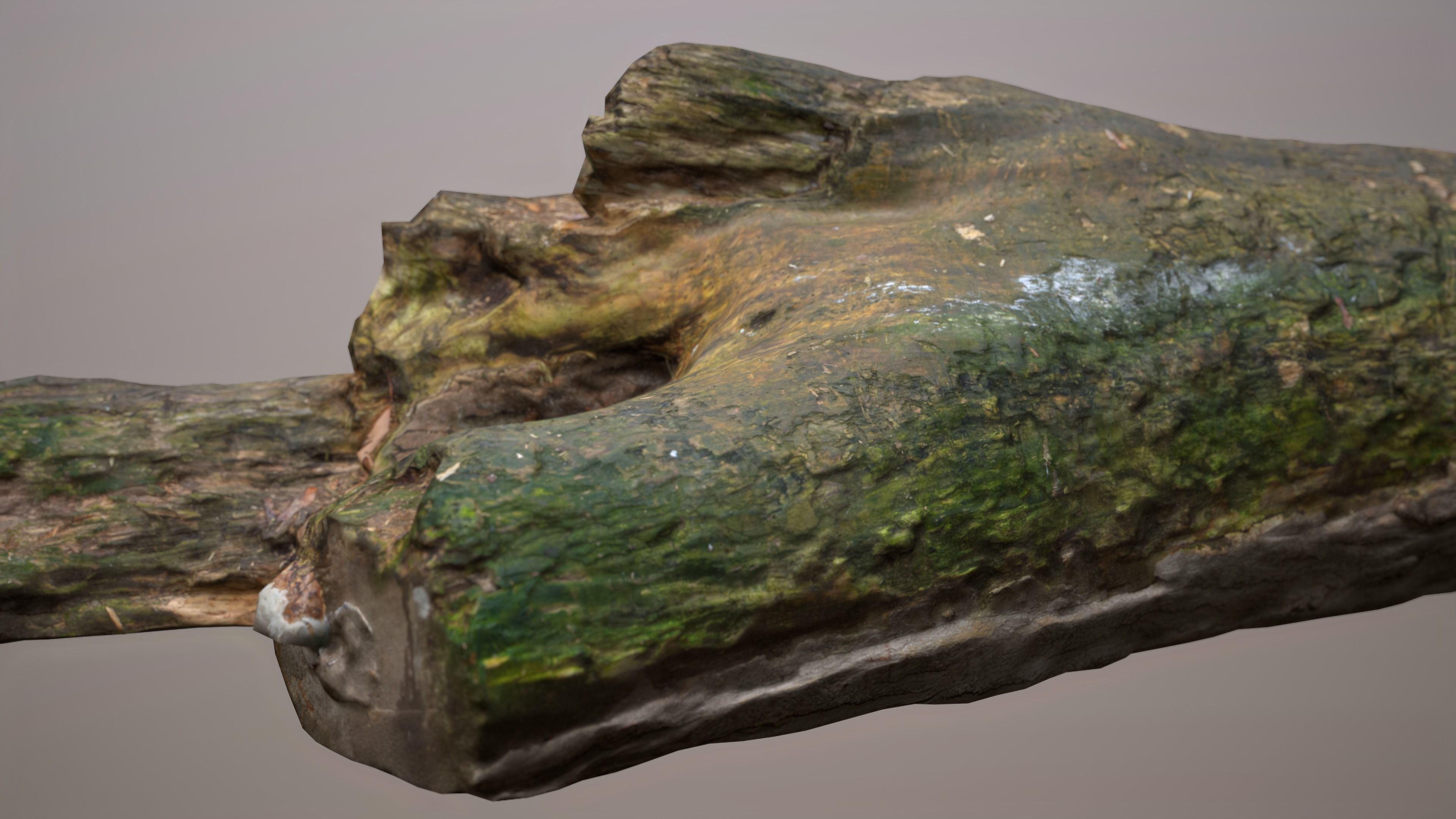 City Park Log Low-poly 3D model_10