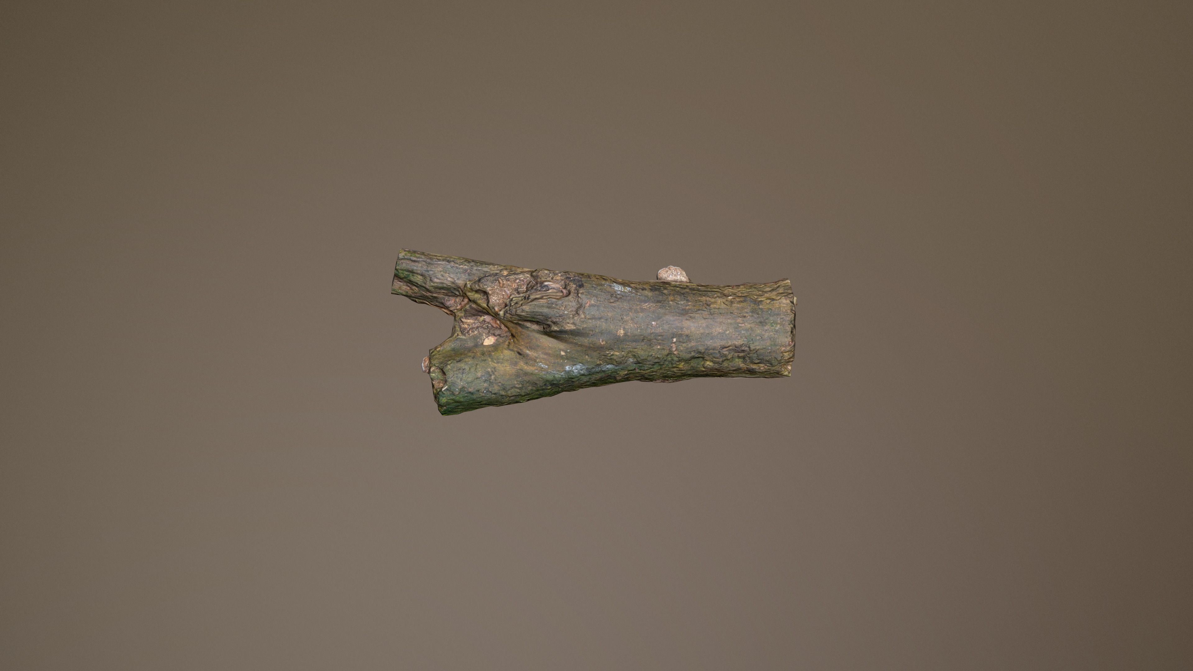 City Park Log Low-poly 3D model_15