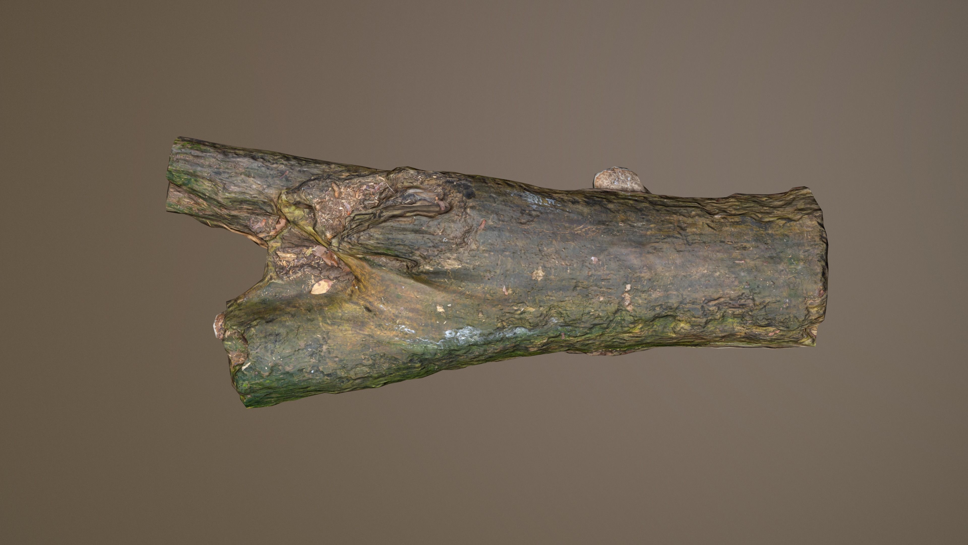 City Park Log Low-poly 3D model_6