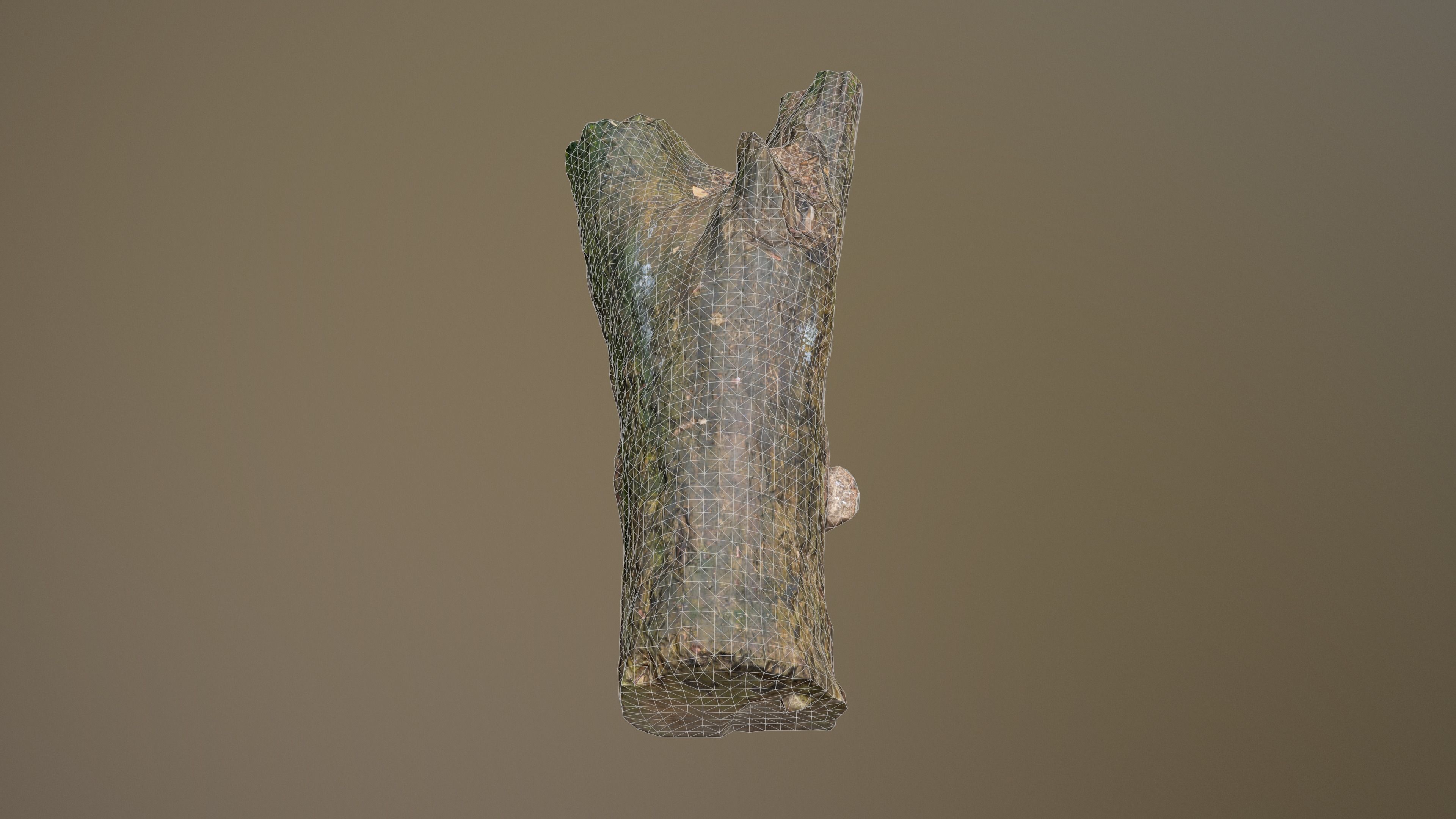 City Park Log Low-poly 3D model_17