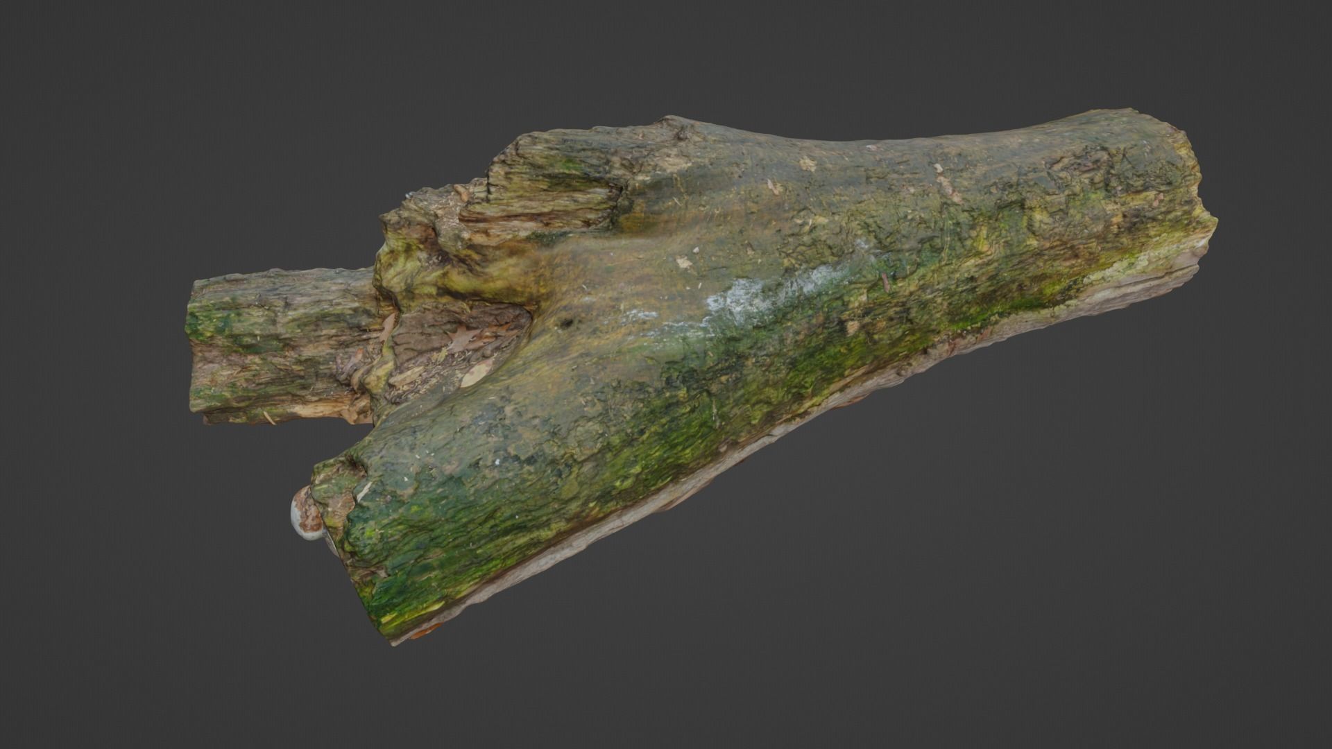 City Park Log Low-poly 3D model_20