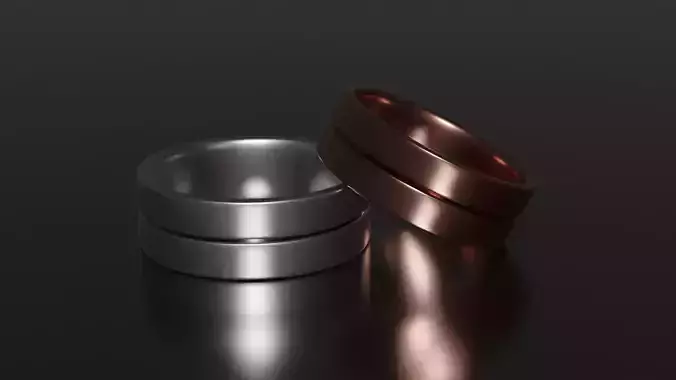 Couple rings 3D model