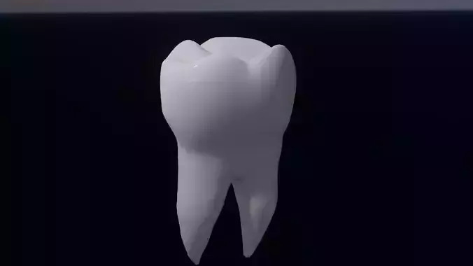Mandibular First Molar Tooth 3D model