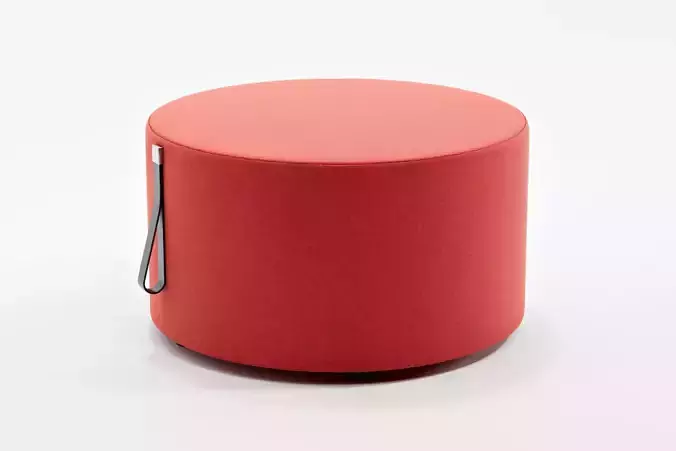 Large Seat Cushions with 2 Size - Koenig Neurath 3D model