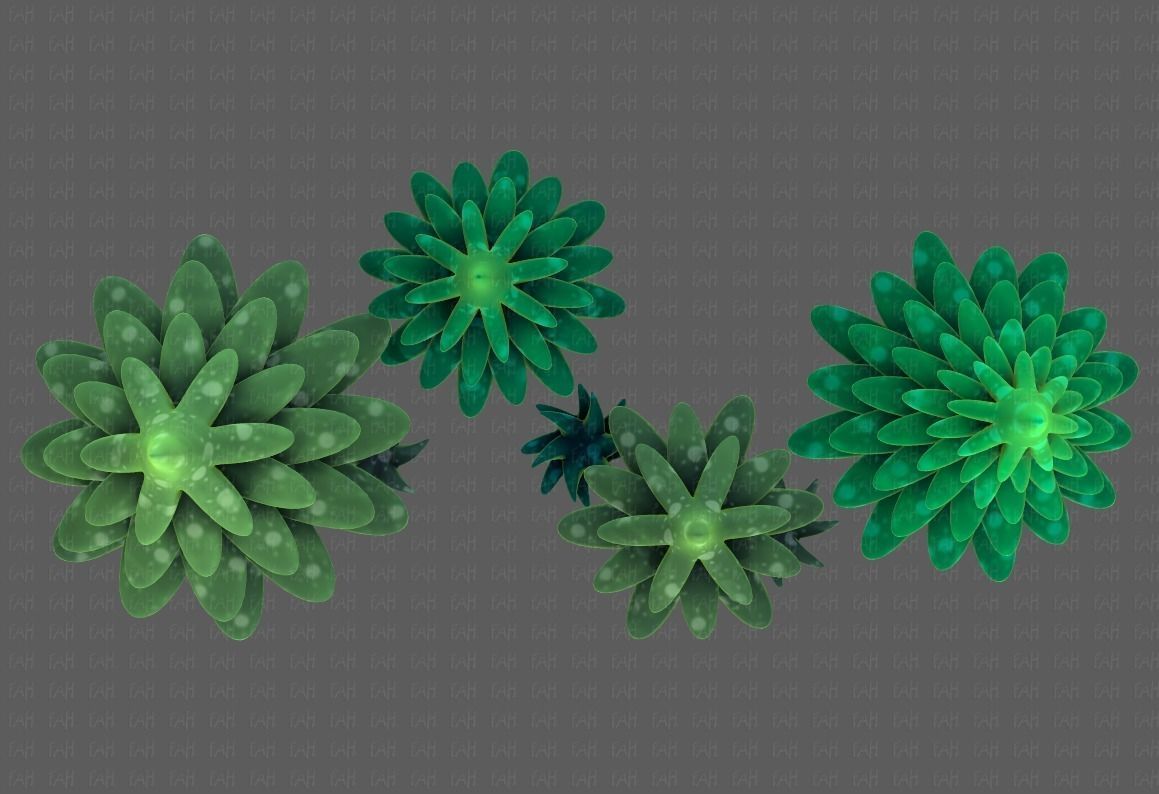 Trees Cartoon V17 Low-poly 3D model_33