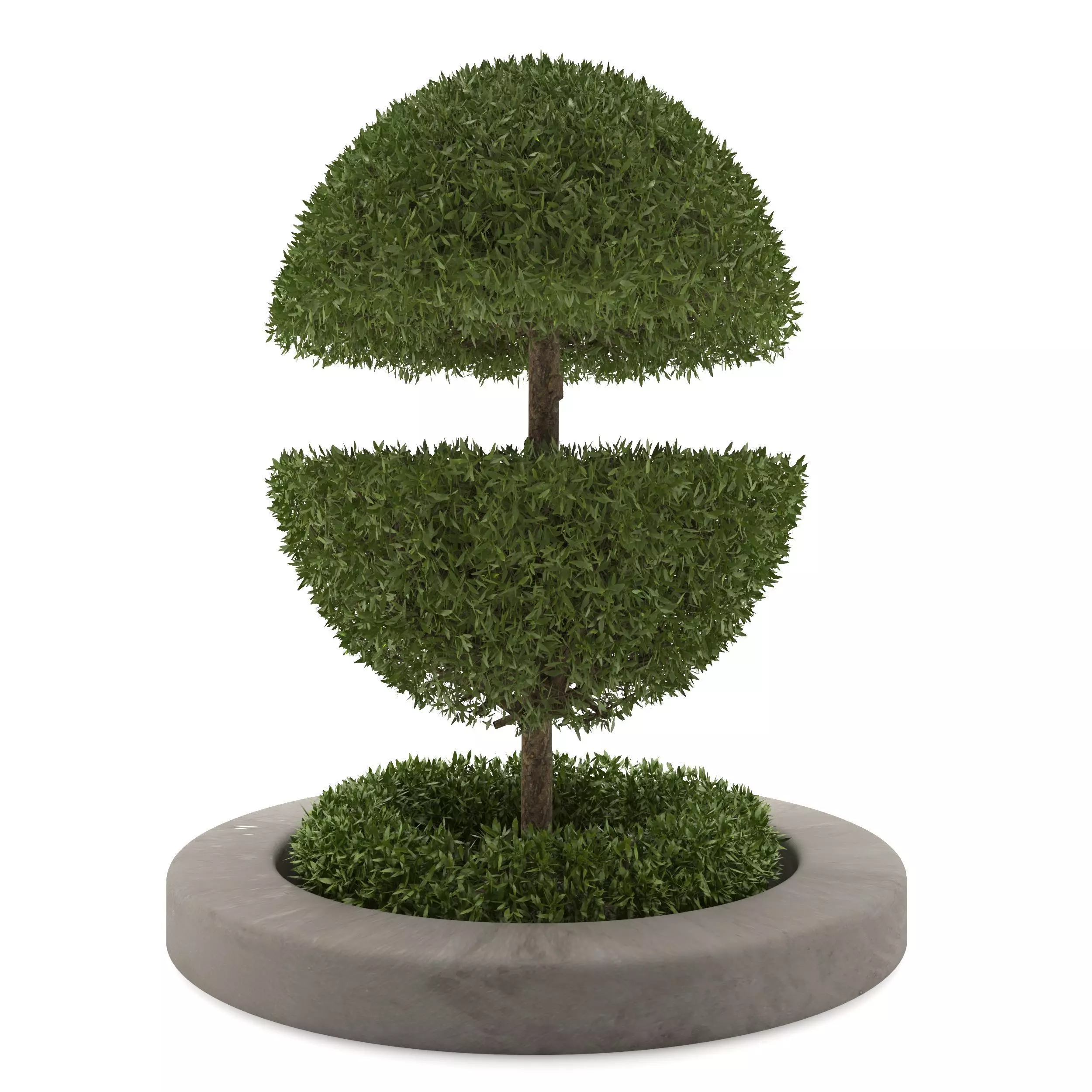 Outdoor bush Free 3D model