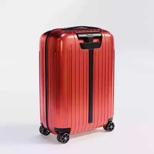 Cabin Luggage