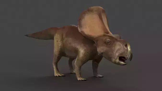 protoceratops ceratopsian dino dinosaur 