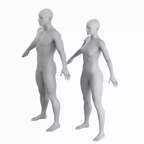 Average Man and Woman Body Low Poly Basemesh  3D Model Collection
