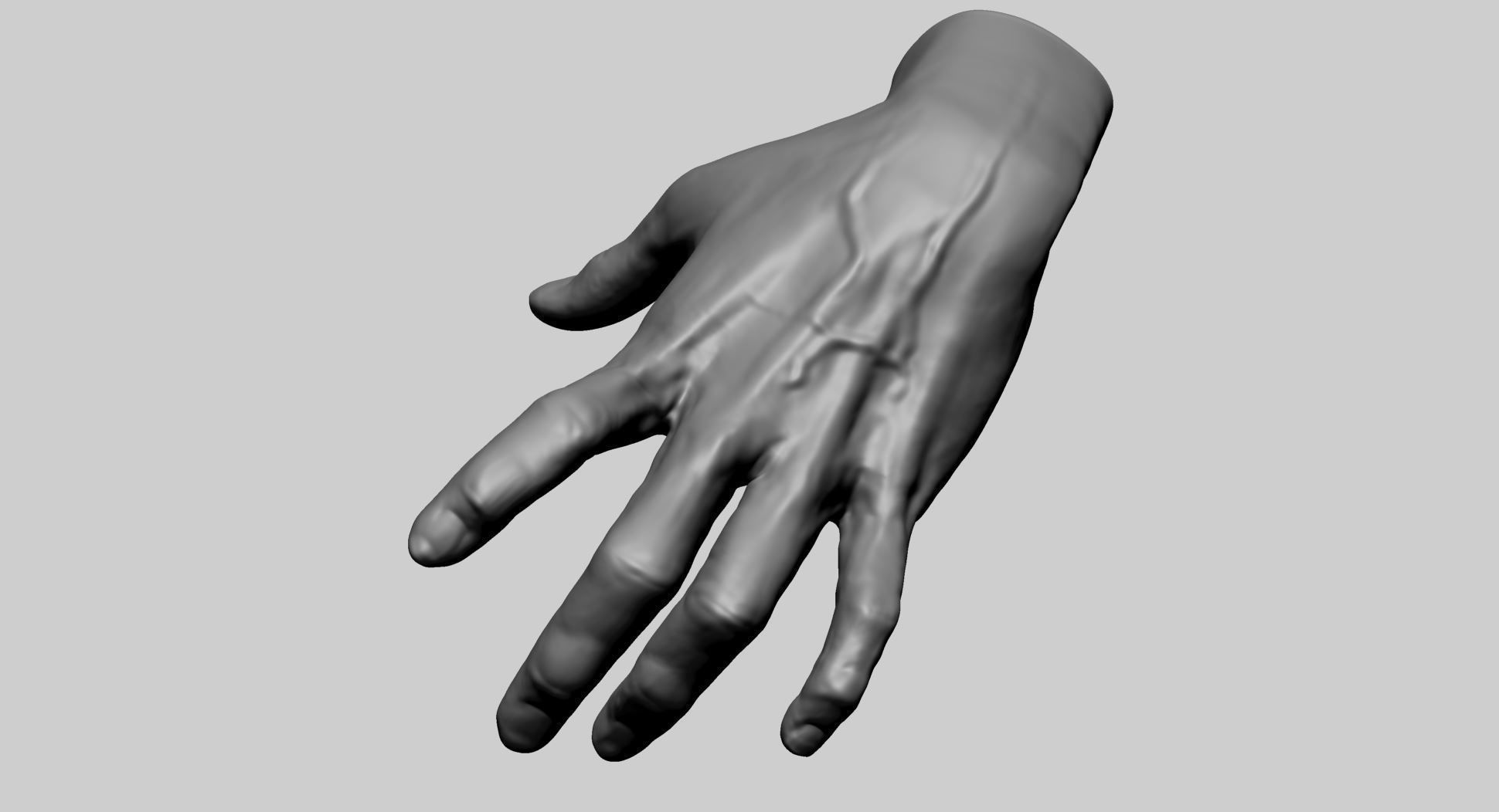Hand Printable A 3D print model_6