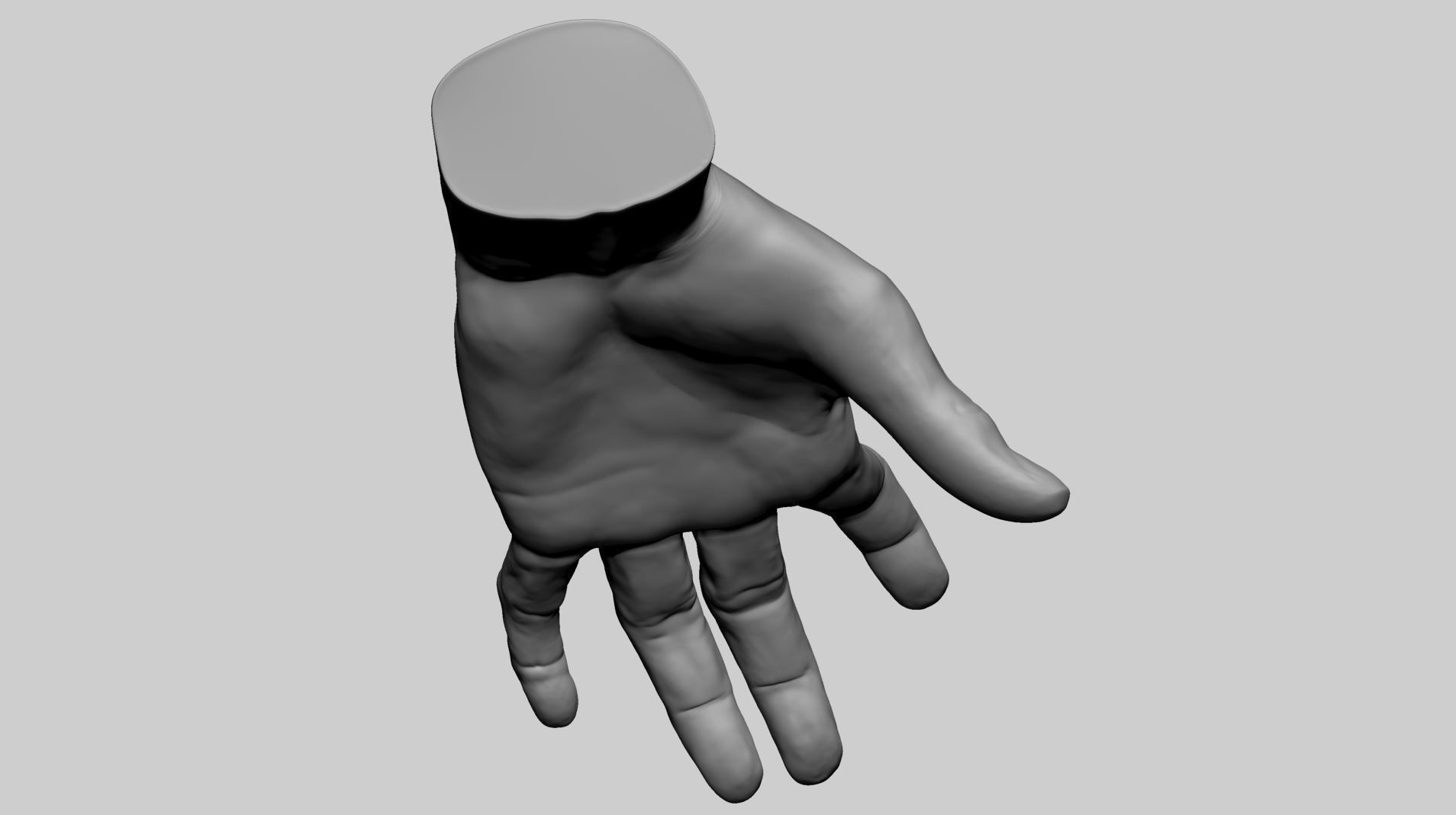 Hand Printable A 3D print model_3