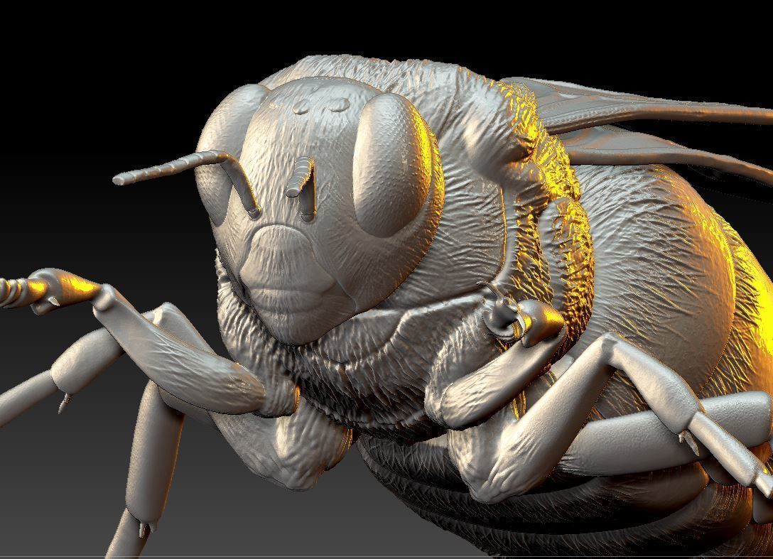 Queen bee 3D print model_4
