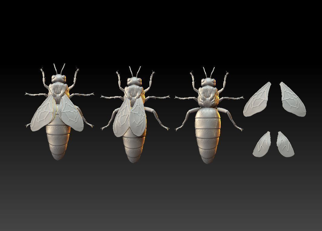 Queen bee 3D print model_6