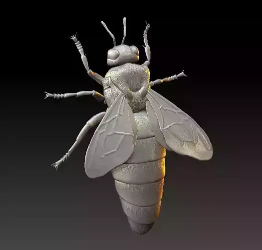Queen bee 3D print model