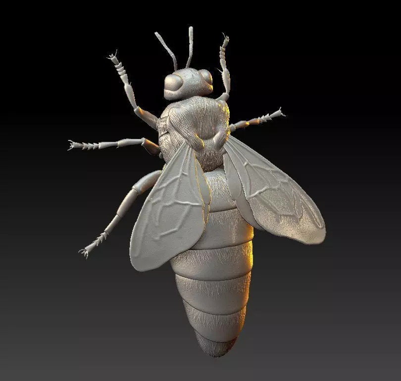 Queen bee 3D print model_0