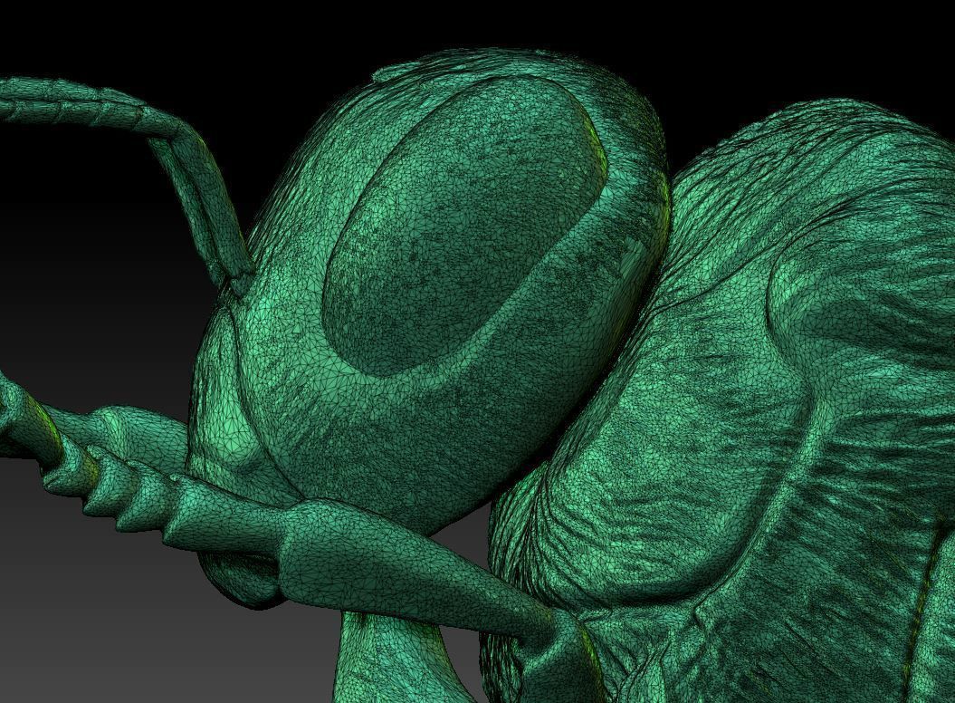 Queen bee 3D print model_5