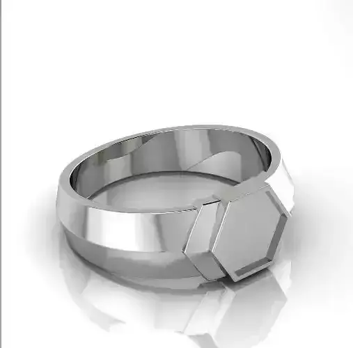 Ring Model 2733