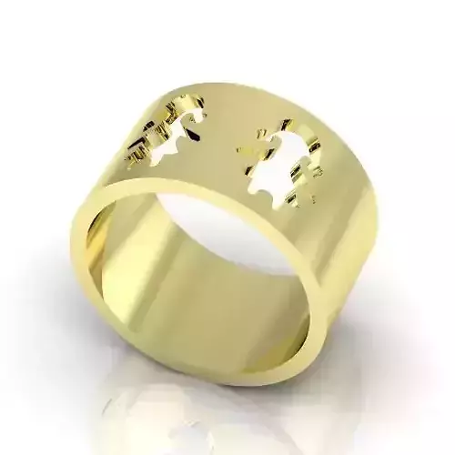 Ring Model 2726