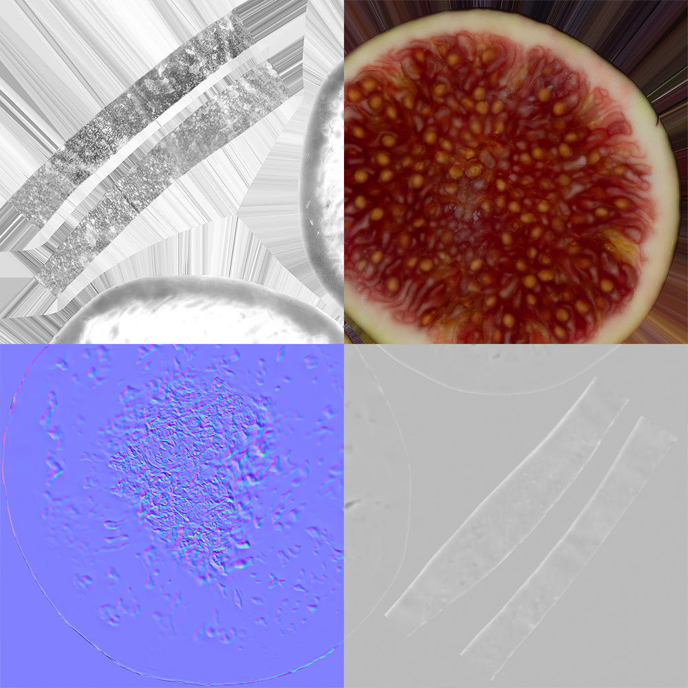 Fig   3D model_8