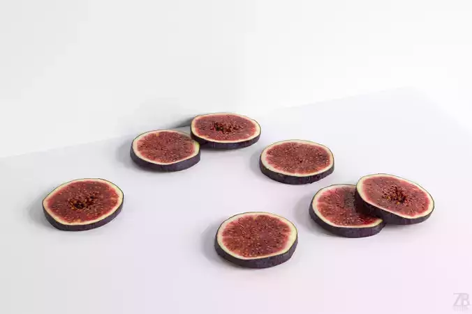 Fig   3D model