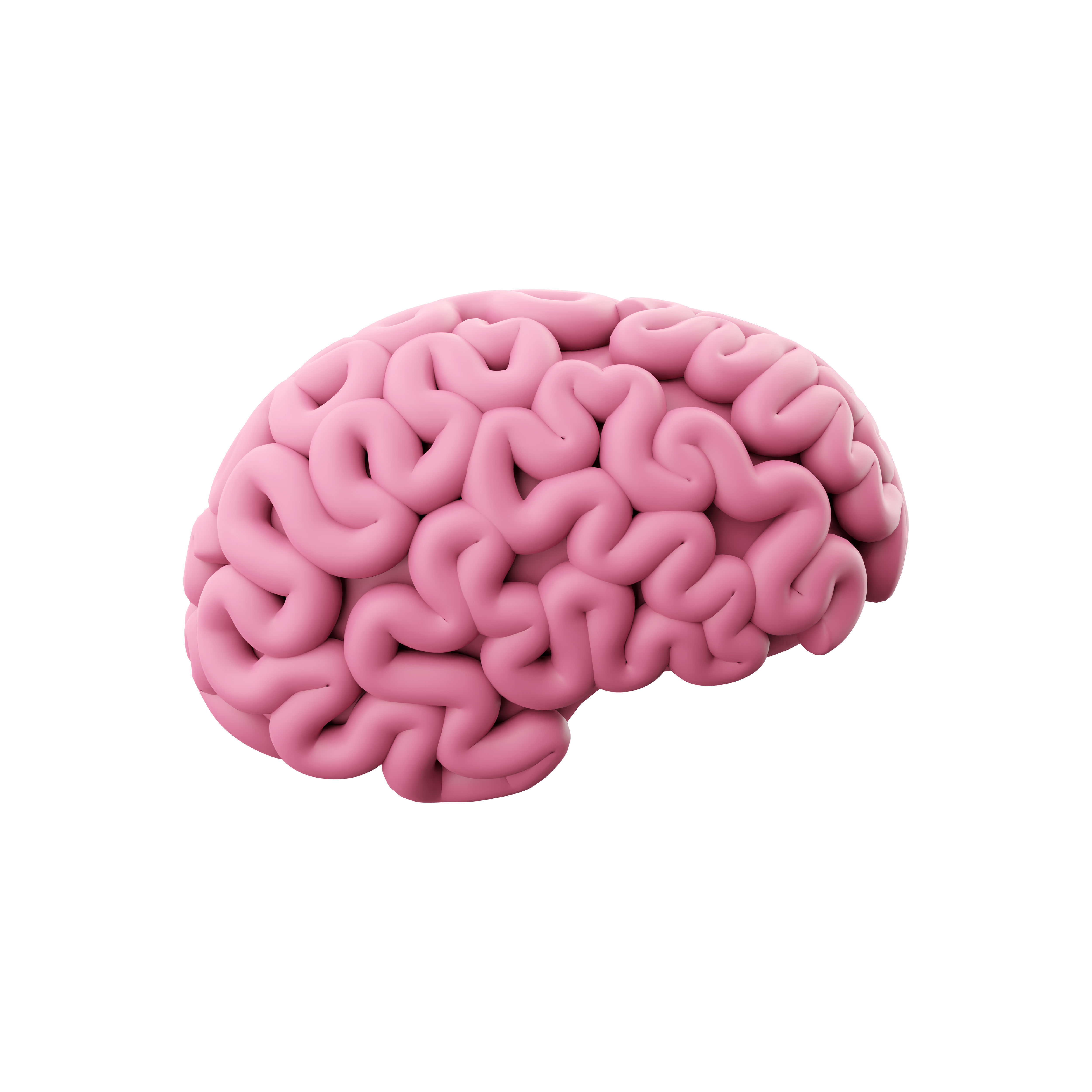 3d brain cartoon 3D model_3