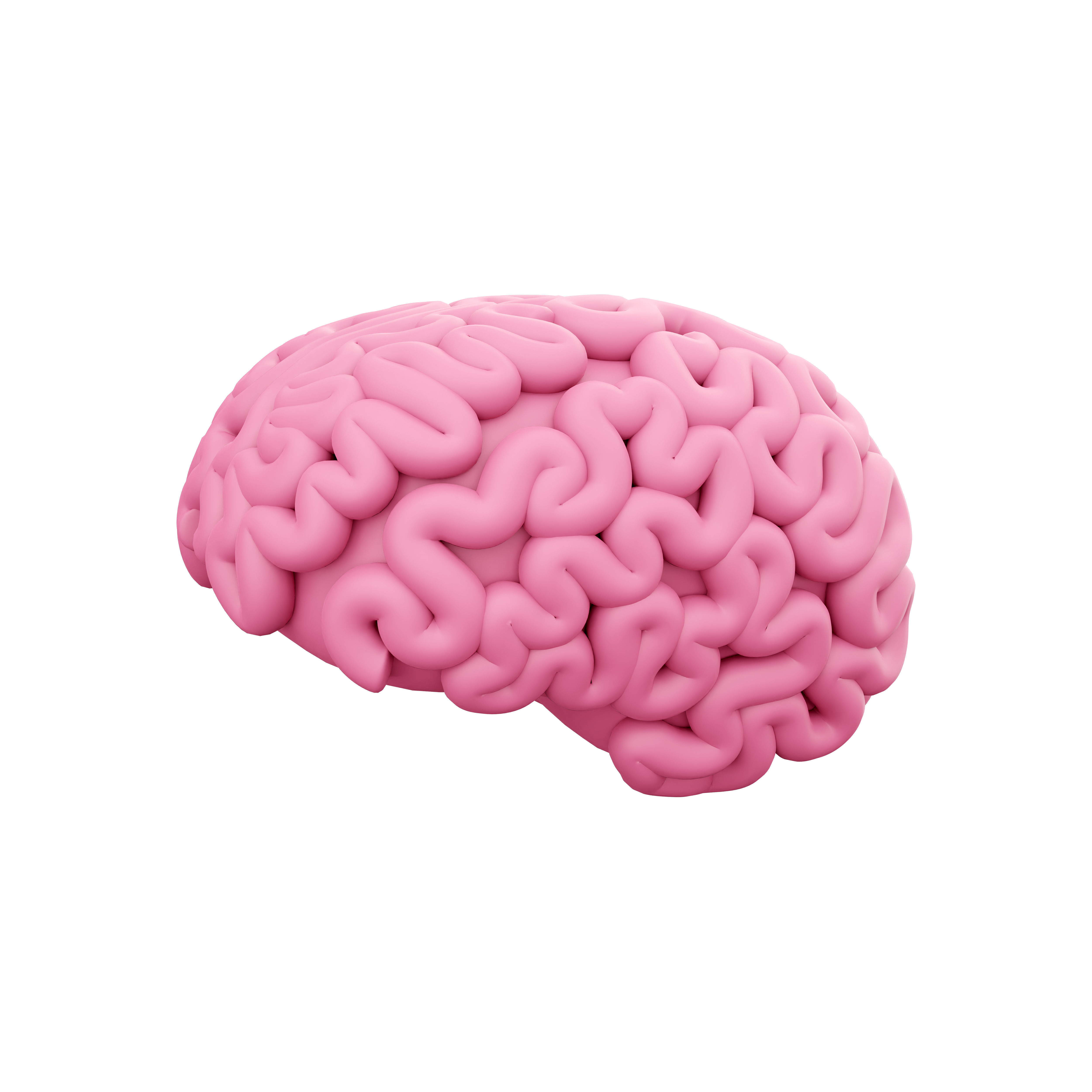 3d brain cartoon 3D model_0