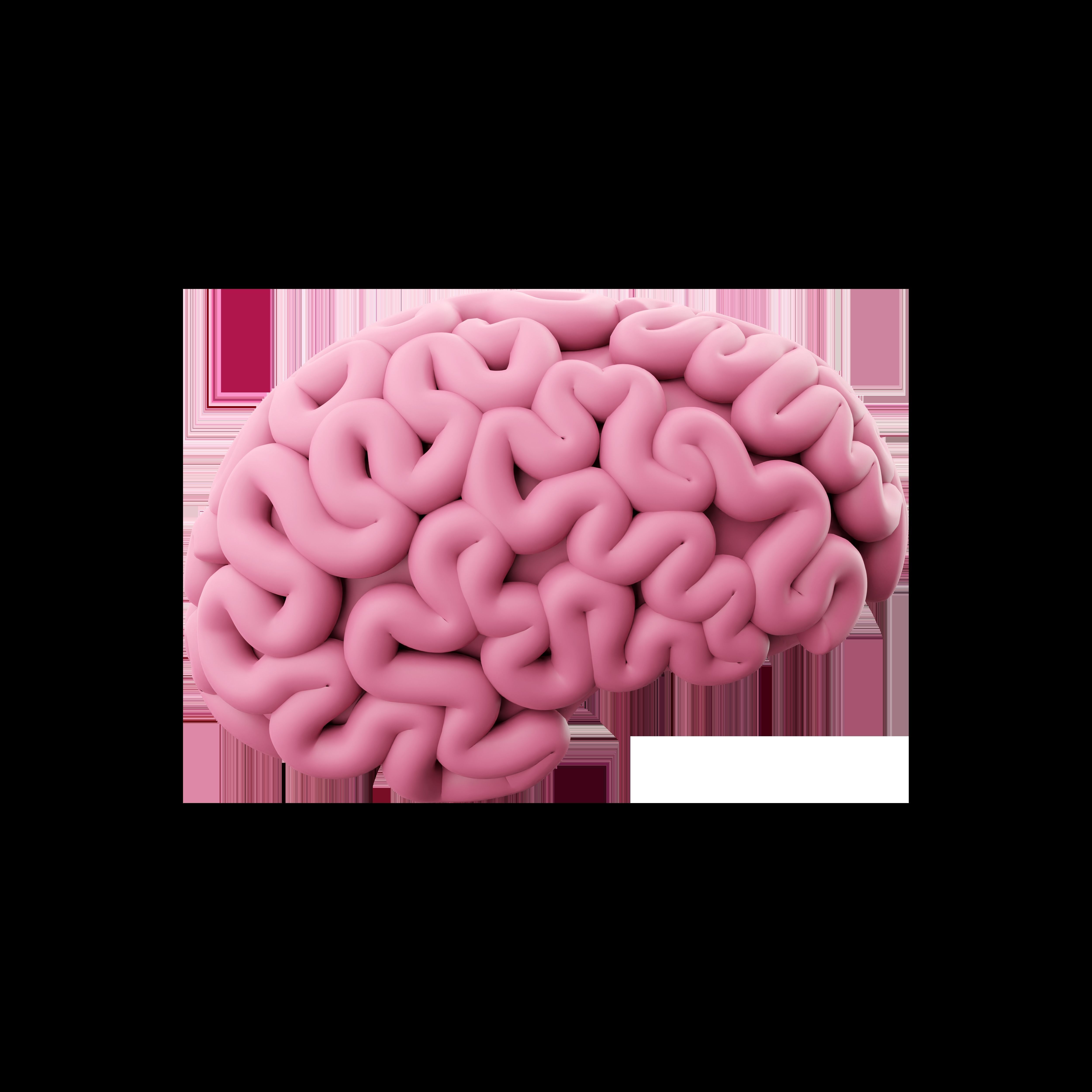 3d brain cartoon 3D model_2
