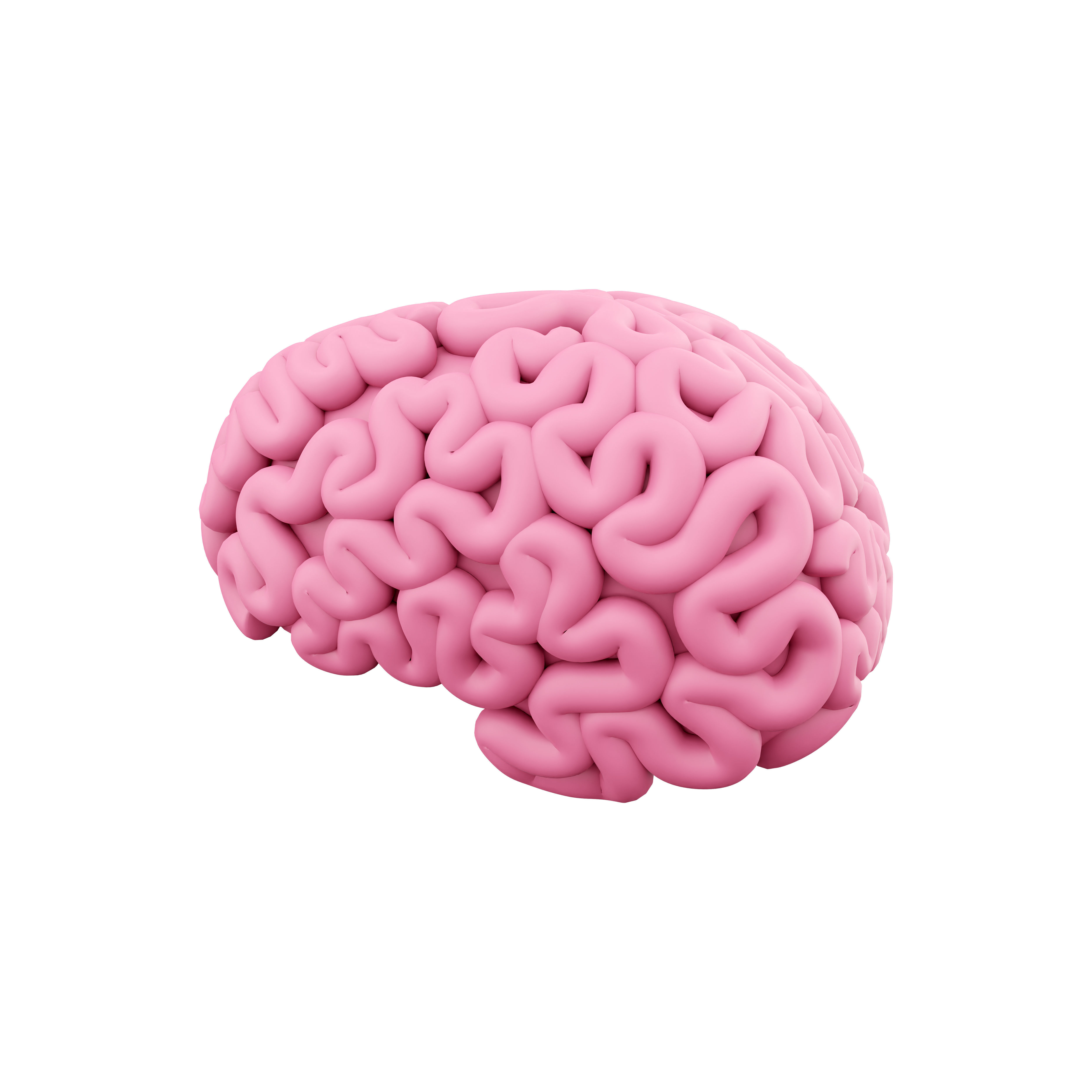 3d brain cartoon 3D model_1