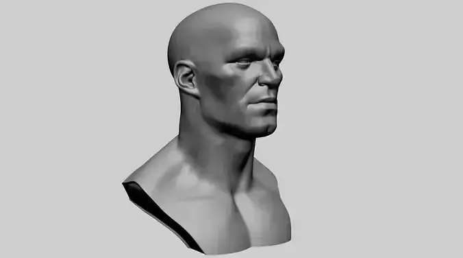 Stylized Male Head Printable A 3D print model