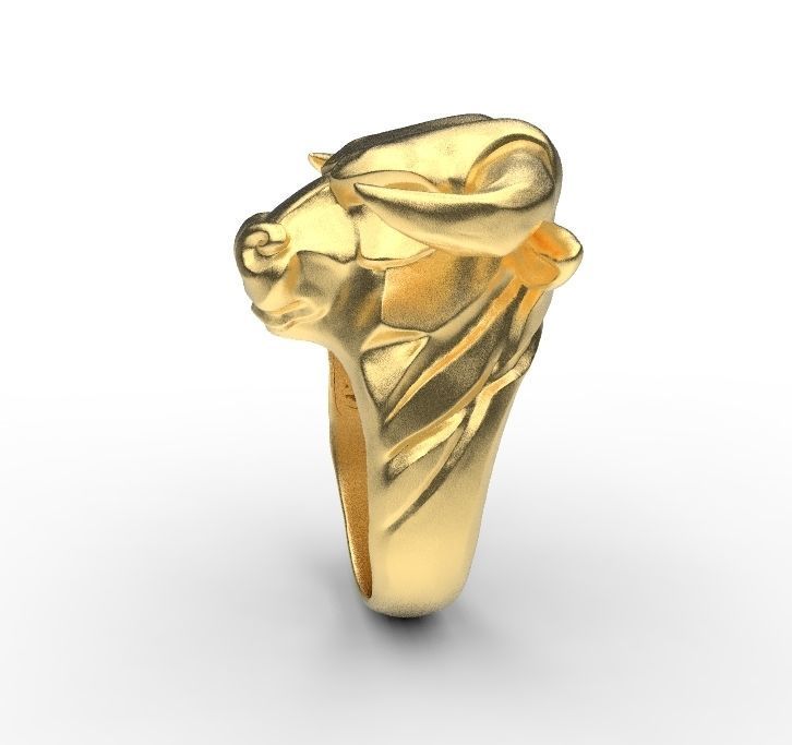bull ring 3D print model_2