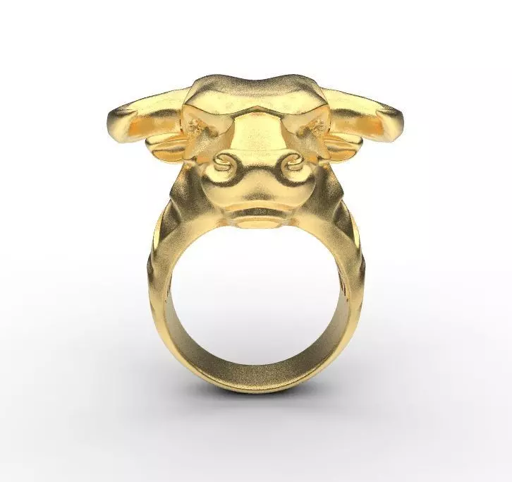 bull ring 3D print model_0