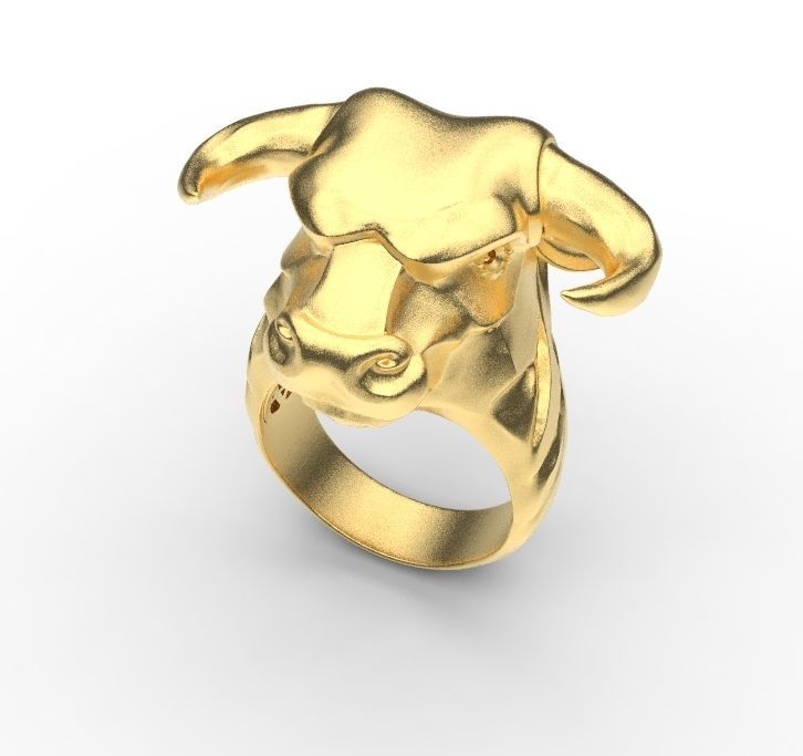bull ring 3D print model_1
