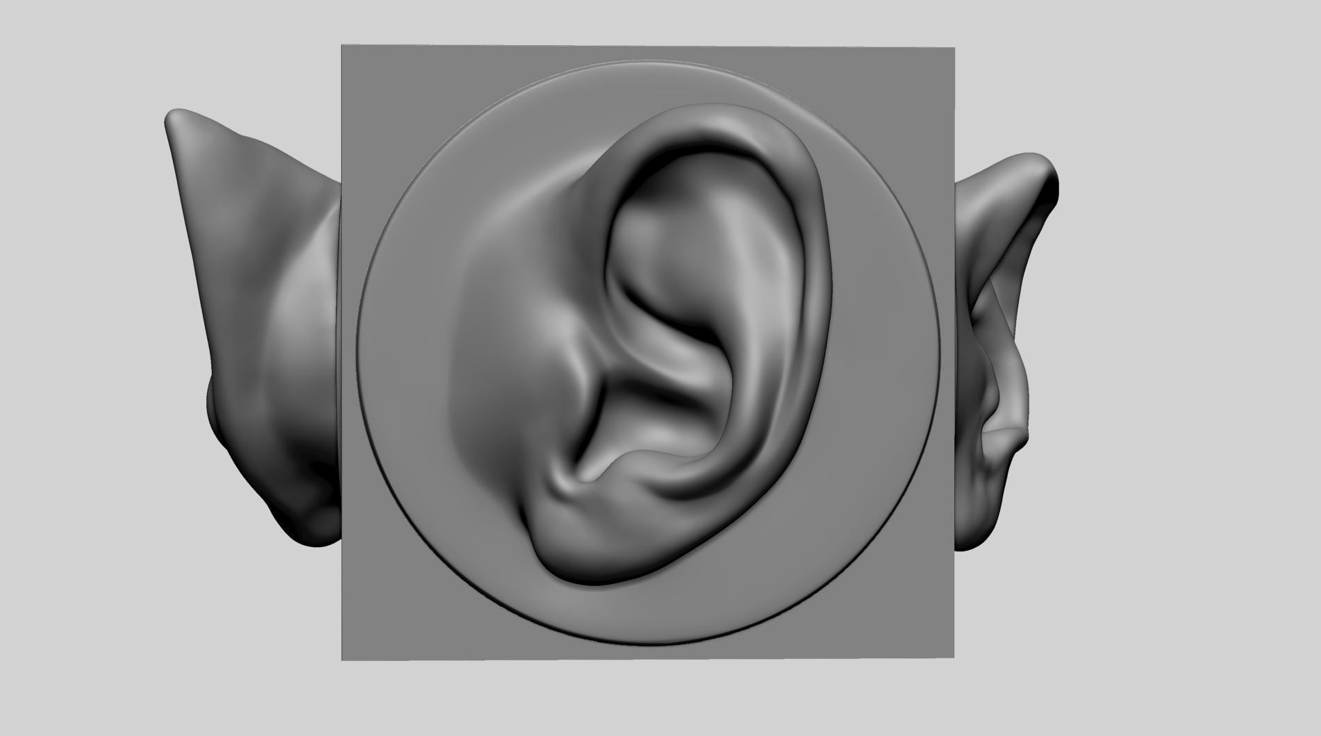 Ear models for 3DPrint 3D print model_3