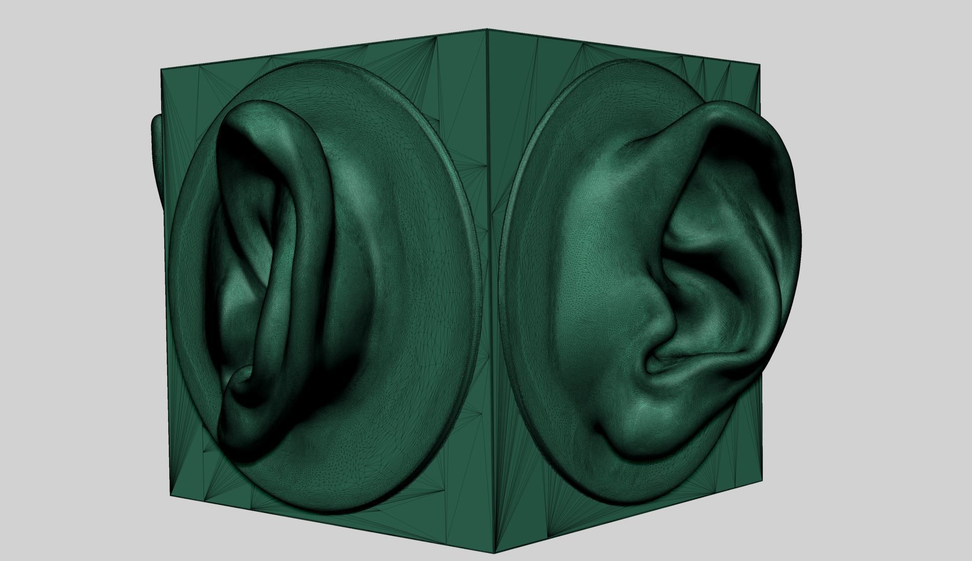 Ear models for 3DPrint 3D print model_10